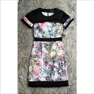 French connection dress